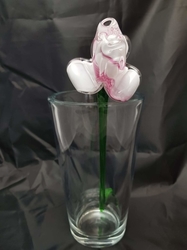 Květina Růže šípek bílorůžová